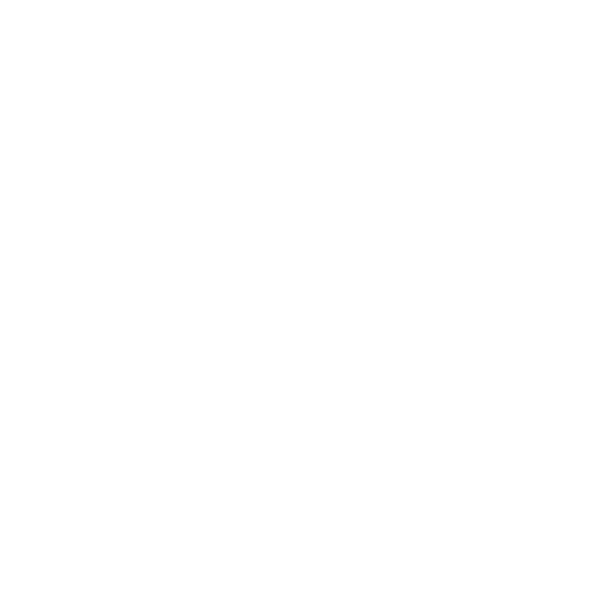 LOGO PARTENAIRE CARREFOUR